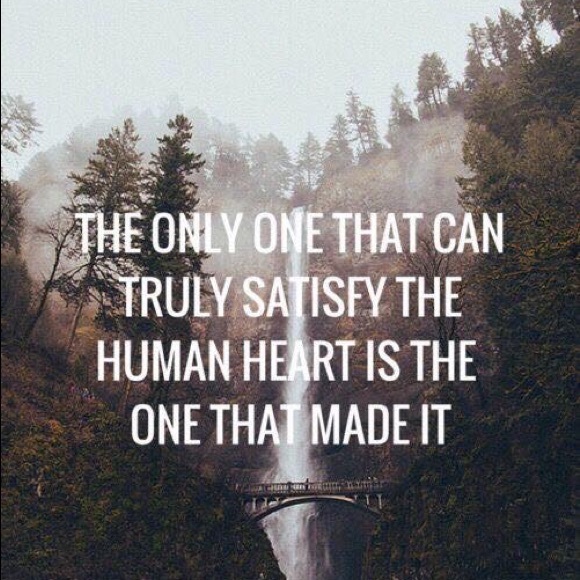 Meet your Posher, Joey - Picture 4 of 4